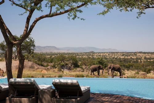 The Best Hotels To Stay At For Your Safari Honeymoon