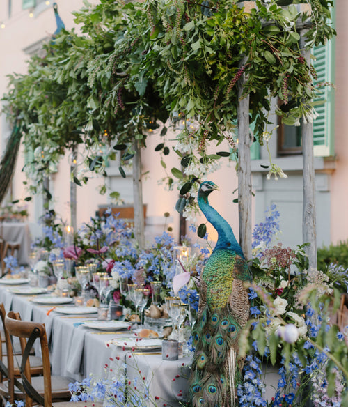 How A Circus-Themed Destination Wedding in Italy Was Pulled Off