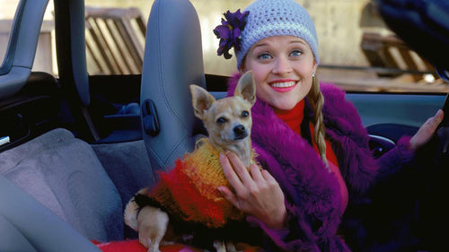 12 Days of Gift Guides: For the Pet Lover