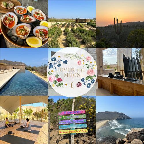 The Over The Moon Guide to Planning Your Wedding in Todos Santos
