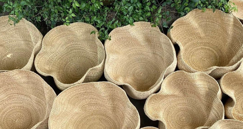 Baba Tree Baskets | Over The Moon