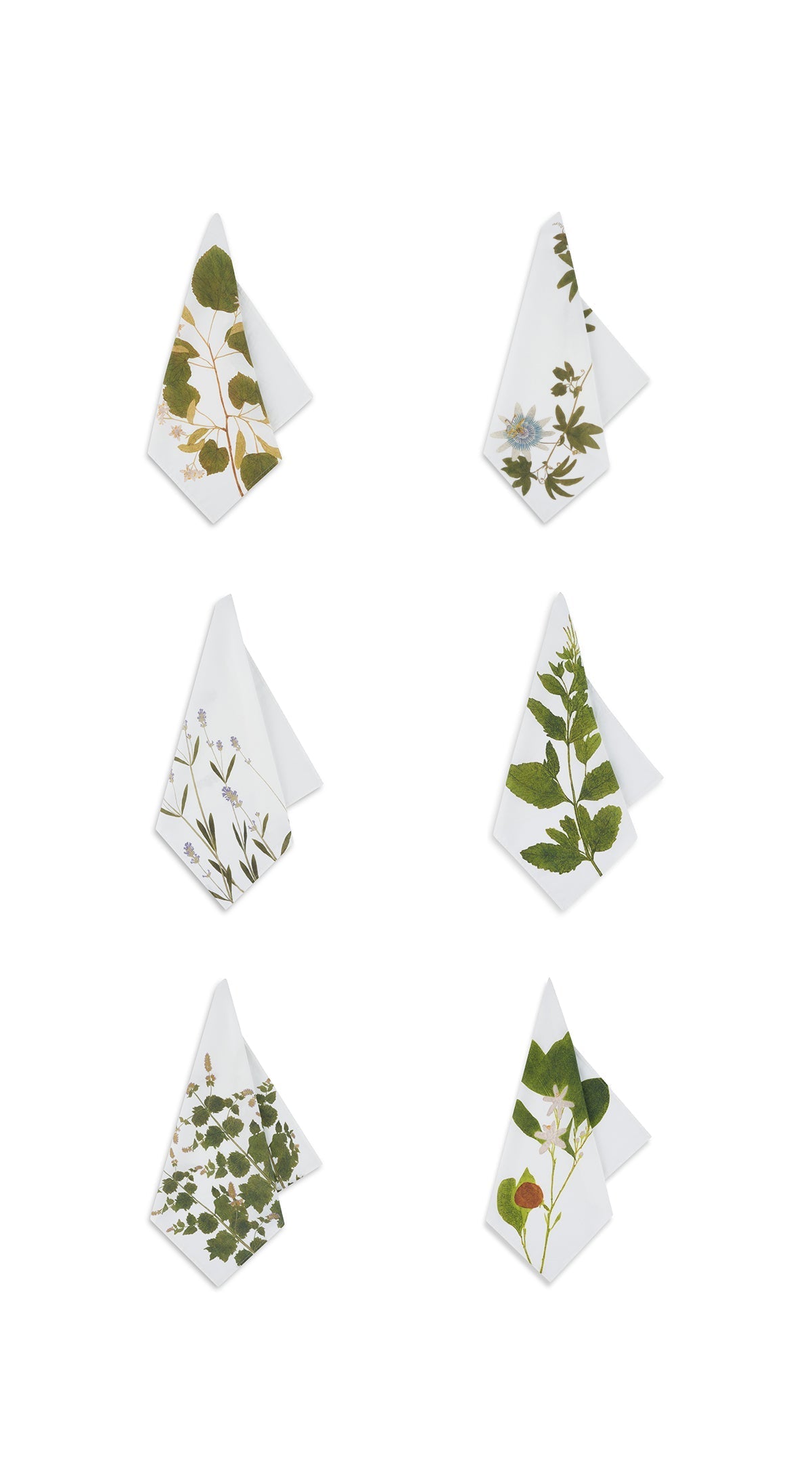 'Tisane' Herb Linen Napkins, Set of 6
