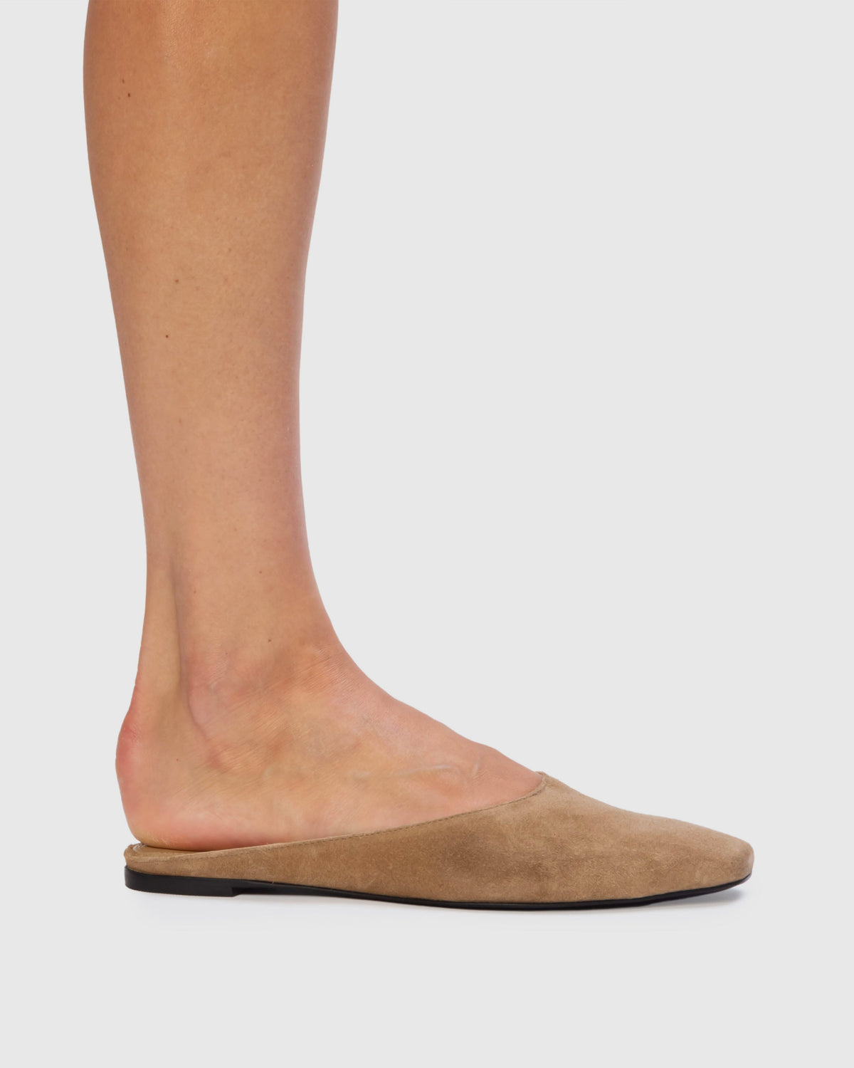 Lucia Flat Mule in Latte Suede