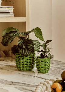 Small Apple Green Basketweave Planter
