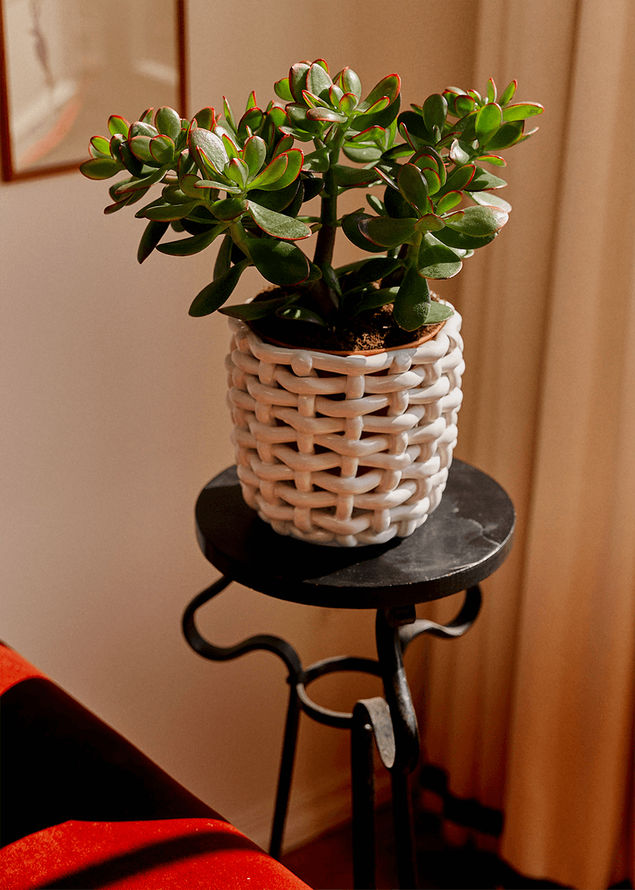 Three-quarter view of White Basketweave Planter showcasing glazed woven texture, styled with a jade plant on a black side table