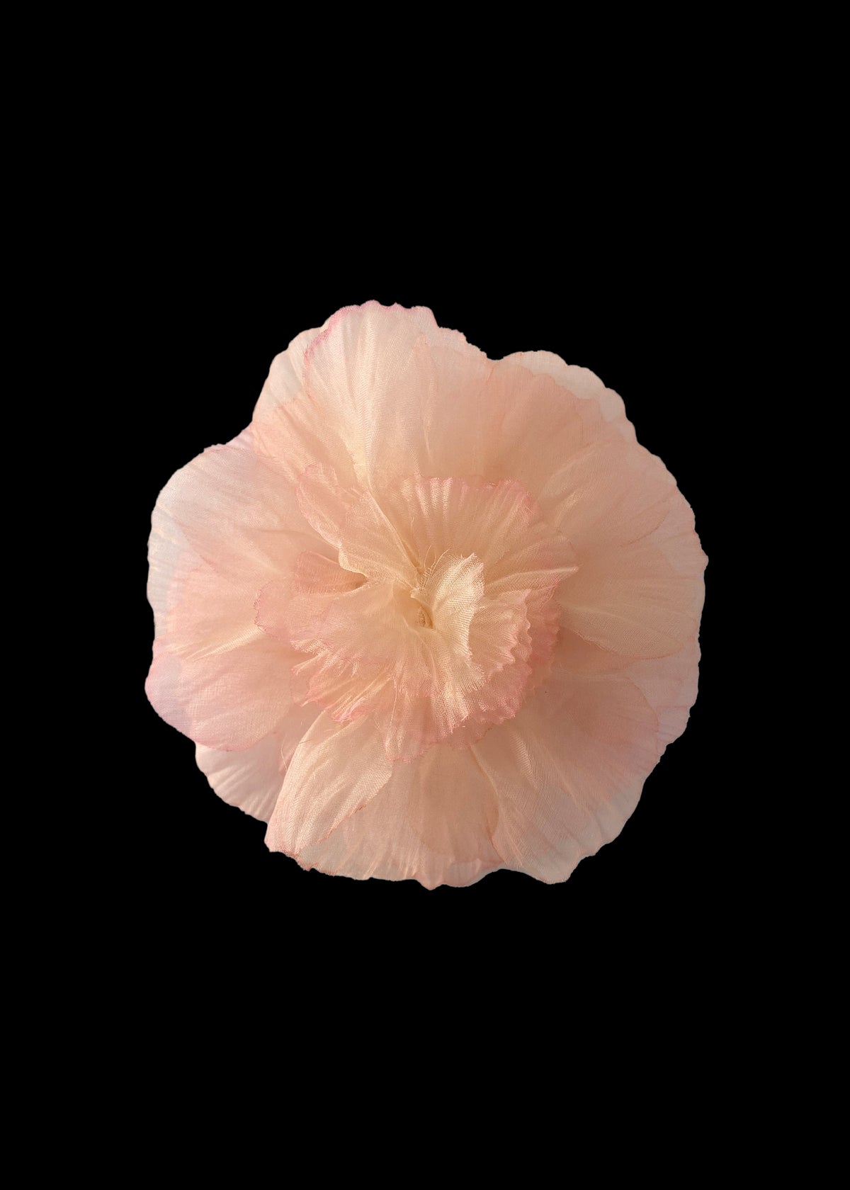 Carnation Barrette in Blush