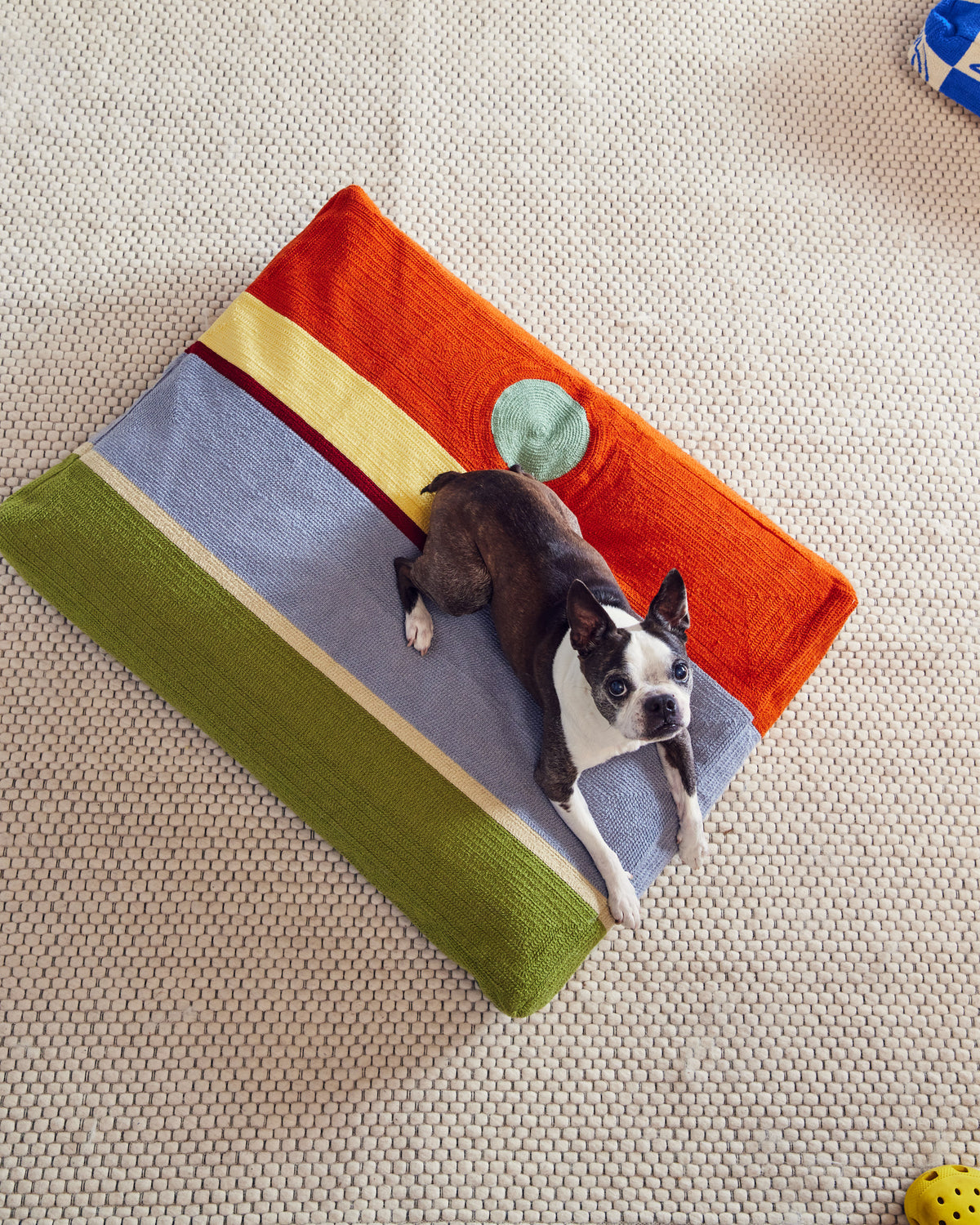 Desert Dog Bed