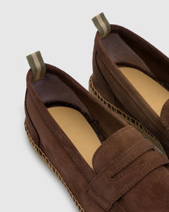 Nacho in Brown