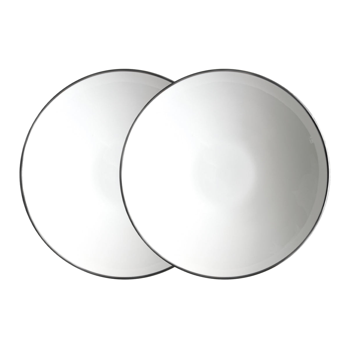 Alex Platinum Set of 2, 8" Soup / Pasta Bowl