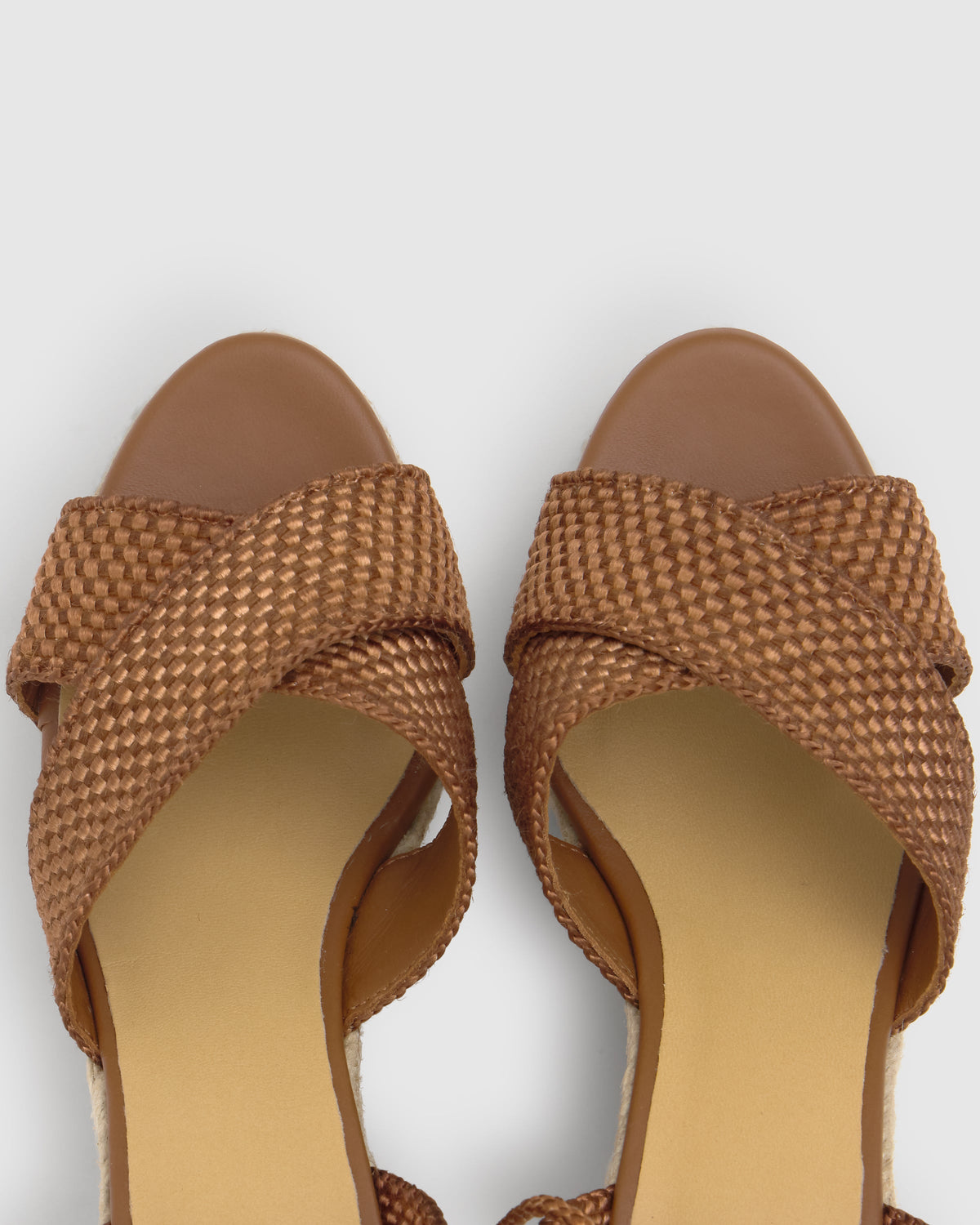 Becca 8ED in Brown