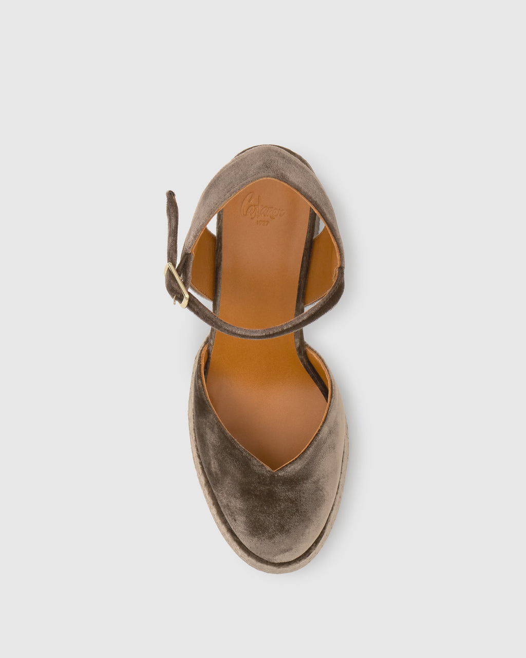 Visby in Brown