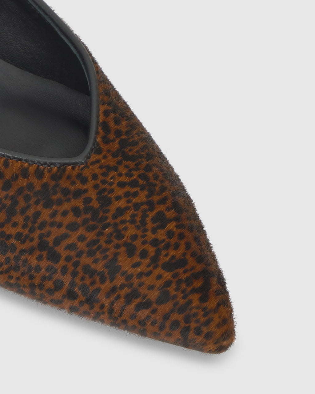 Troya in Multicolor