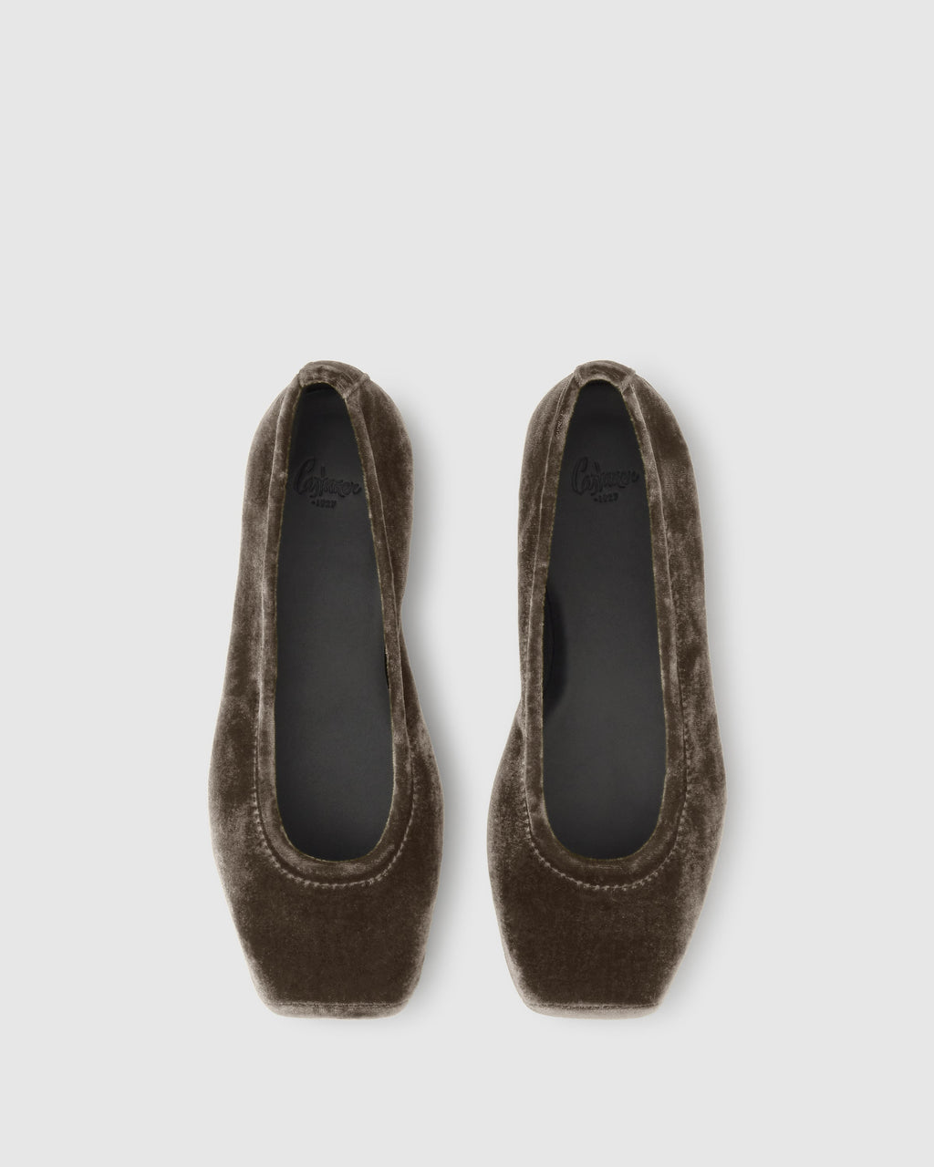Gema in Brown