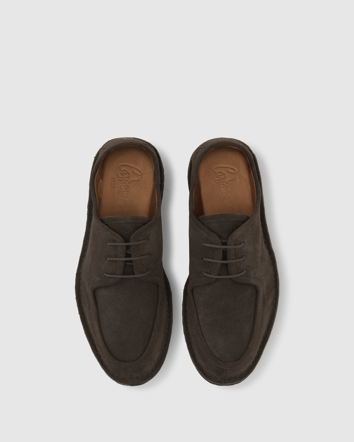 Larry in Brown