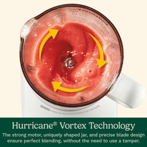 Hurricane X 48 oz Glass Jar Blender