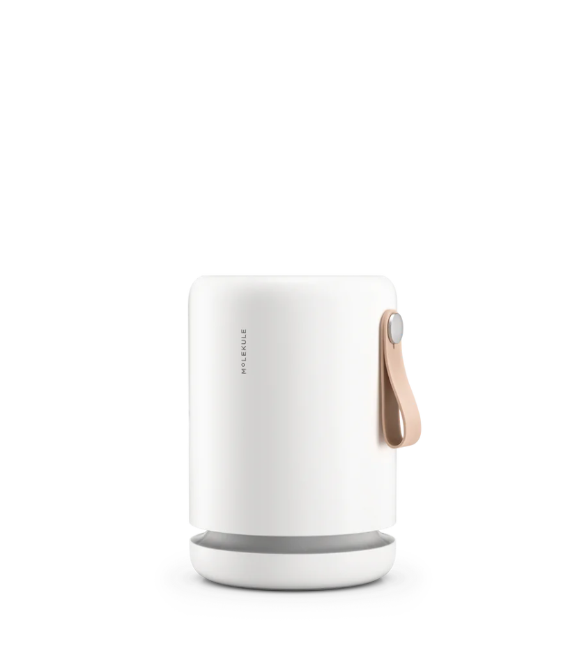 Air Mini+ (Travel Air Purifier)
