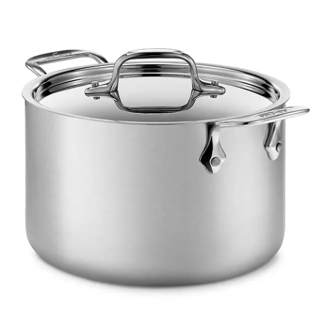 5 Stainless Brushed Steel 4-Quart Soup Pot with Lid