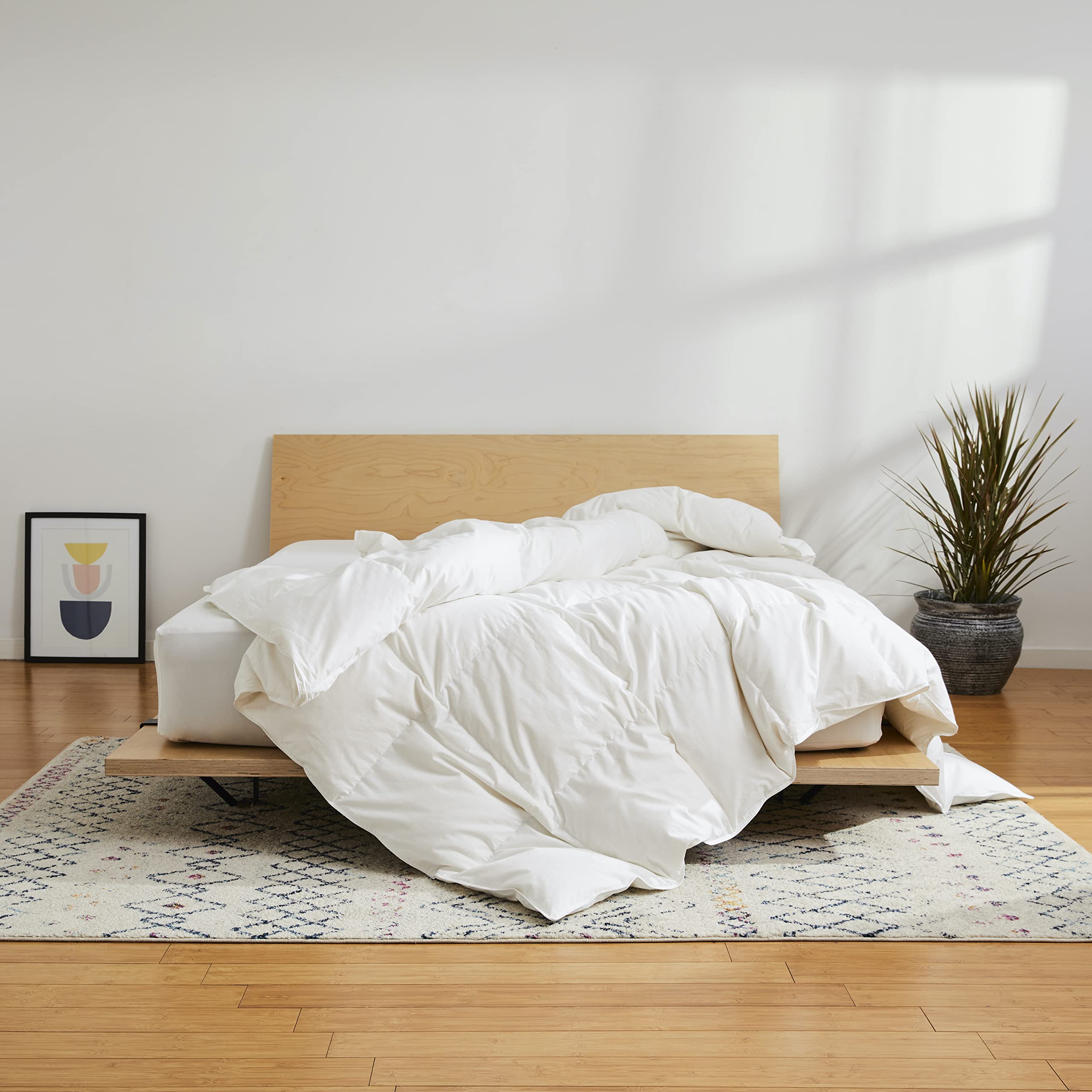 All Season Down Comforter