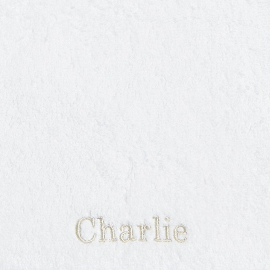 School Font Example of "Charlie in Beige"