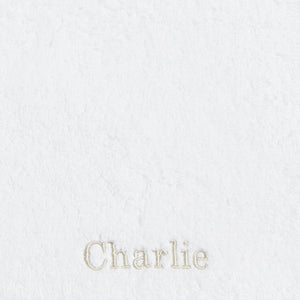 School Font Example of "Charlie in Beige"