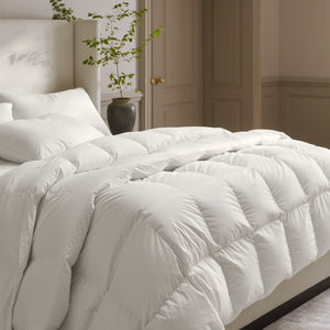 Down Duvet Insert