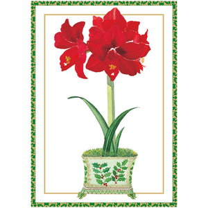 Amaryllis In Holly Pot Boxed Christmas Cards