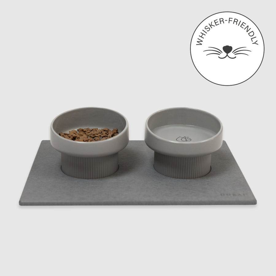 Cat Bowls