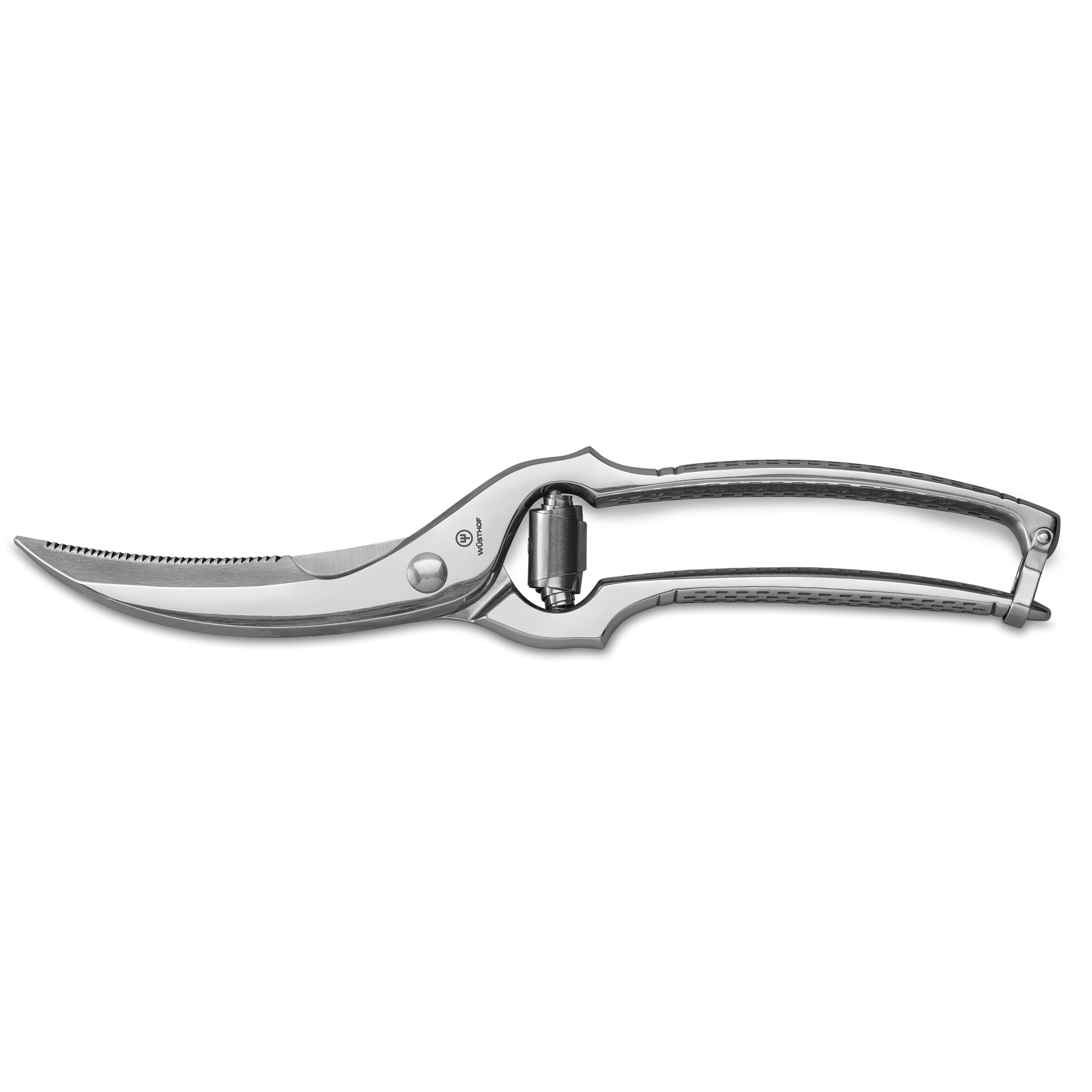 10" Stainless Steel Poultry Shears