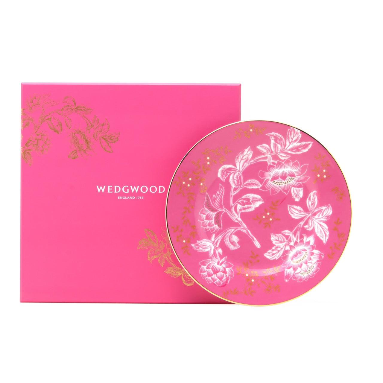Wonderlust Tonquin Plate in Pink