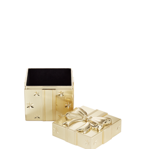 Golden Present Box