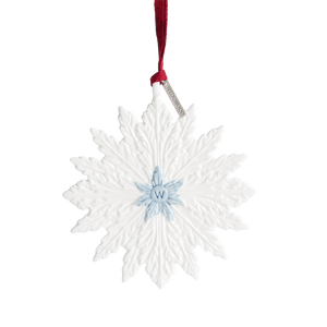 Festive Winter Ornament White & Blue