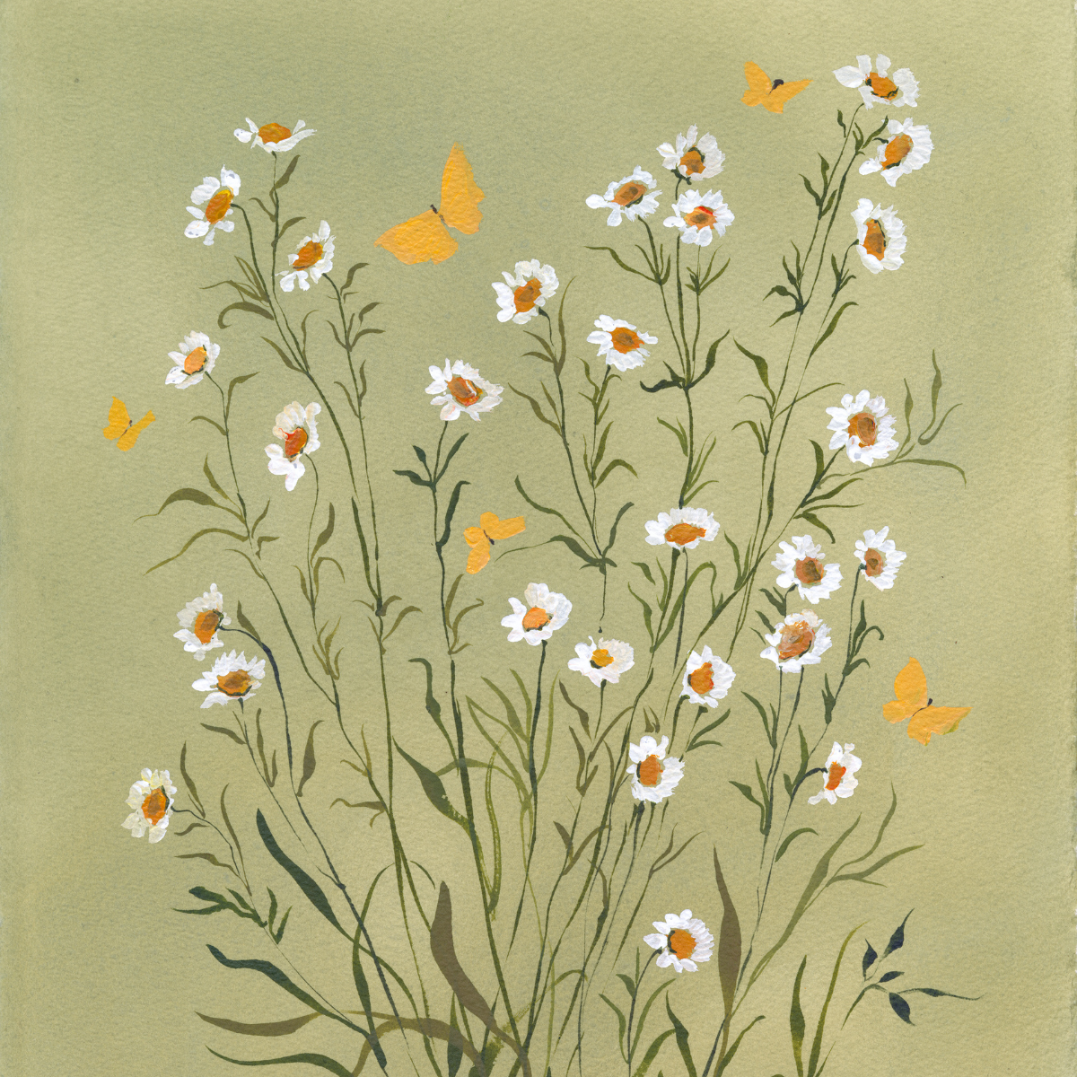 BOTANICAL PRINT: CHAMOMILE ON OLIVE SALE PRICE