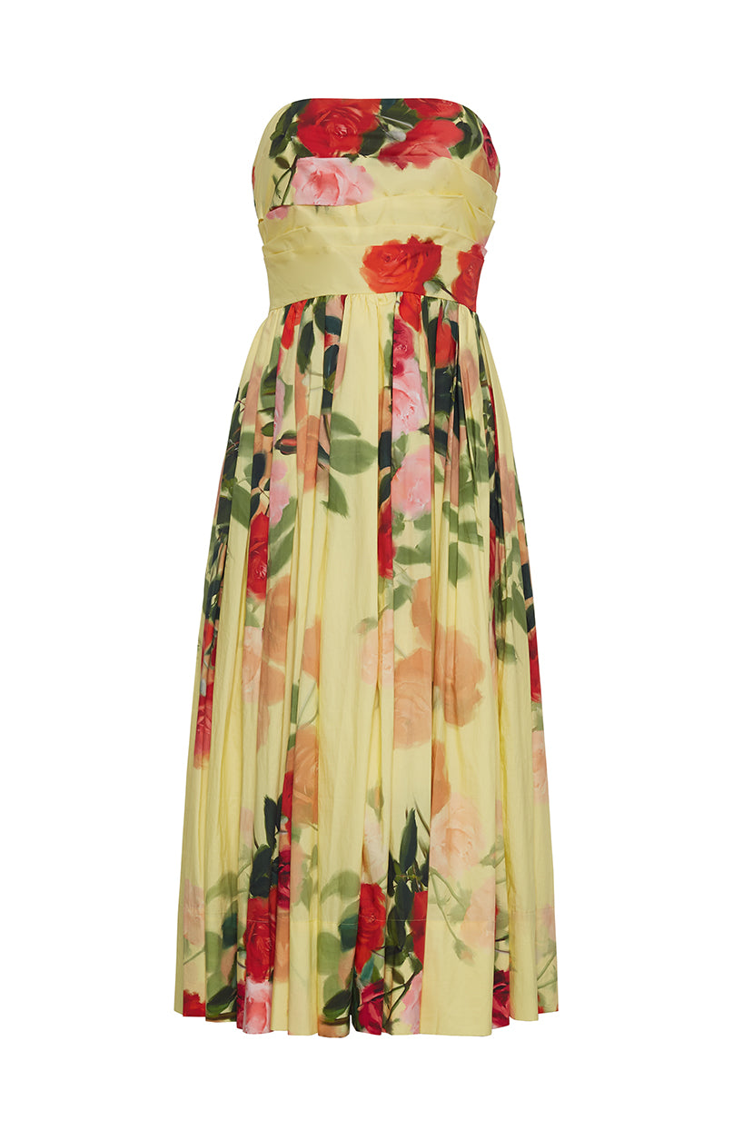 Daria Dress in Le Rose Yellow