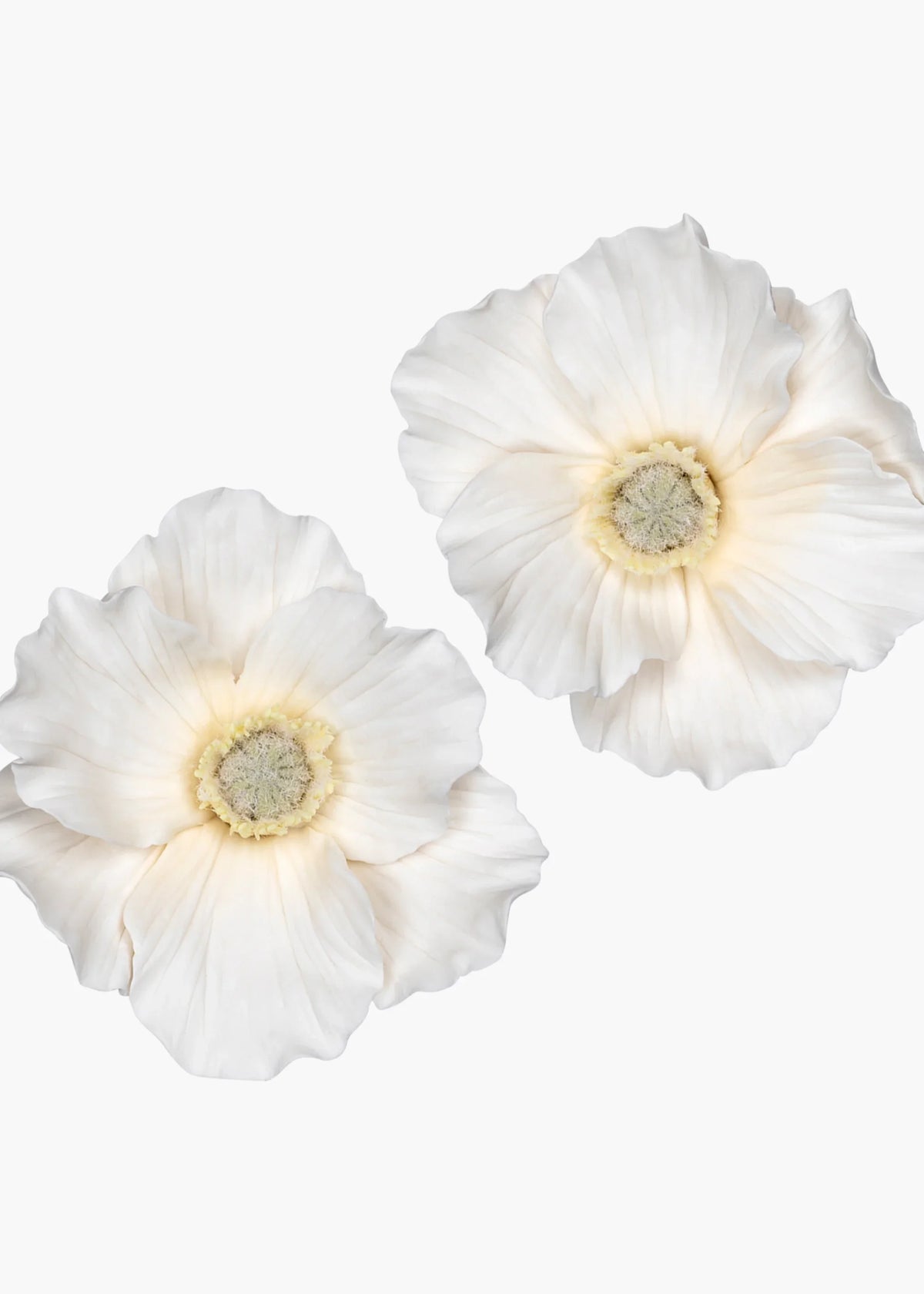 cream