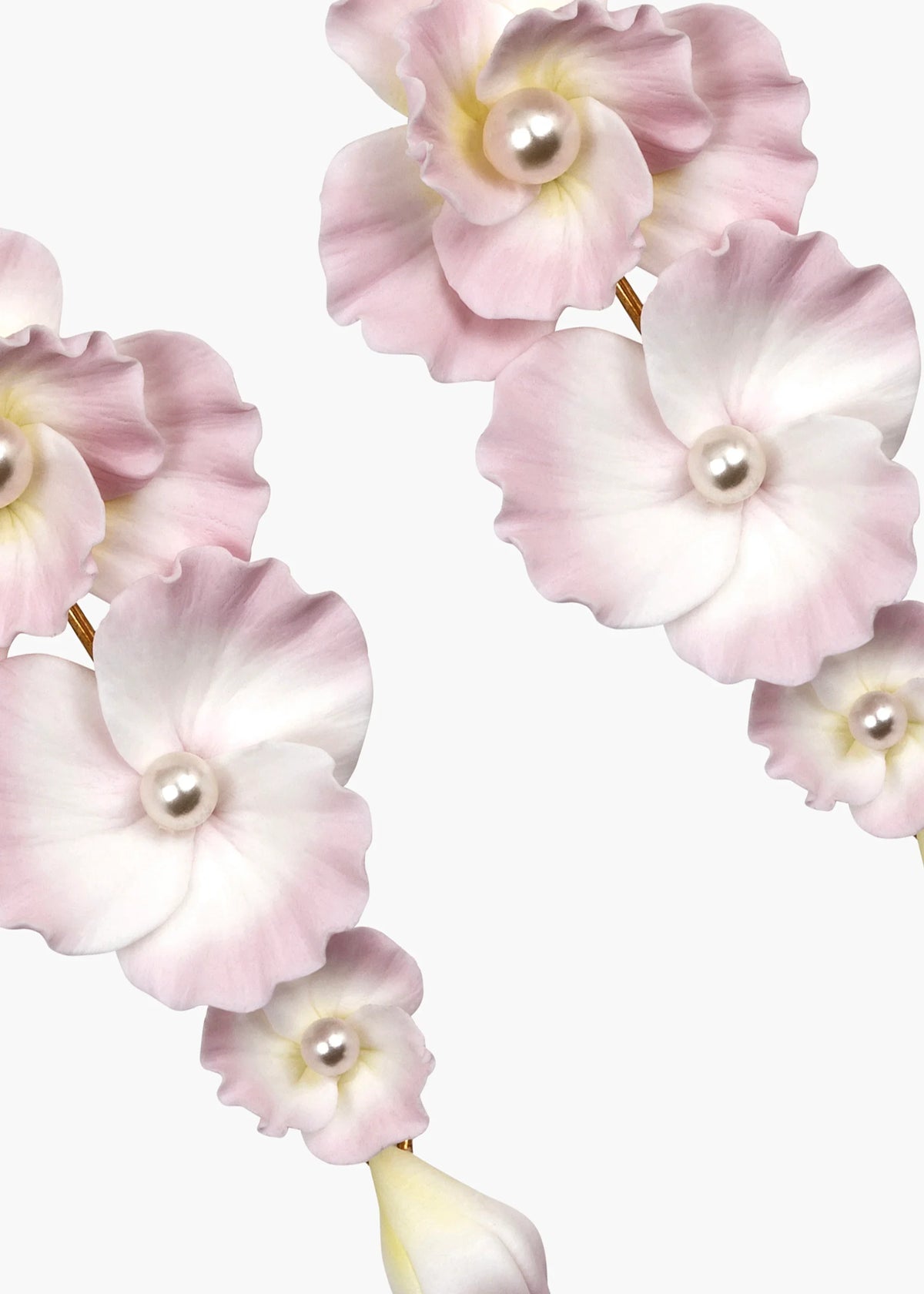 peony
