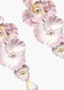 peony