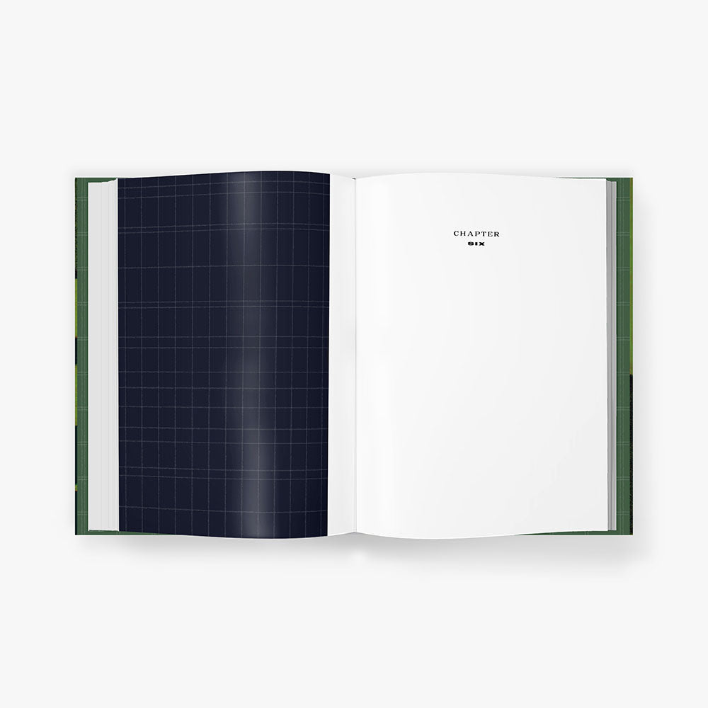 The Great Gatsby Art Novel