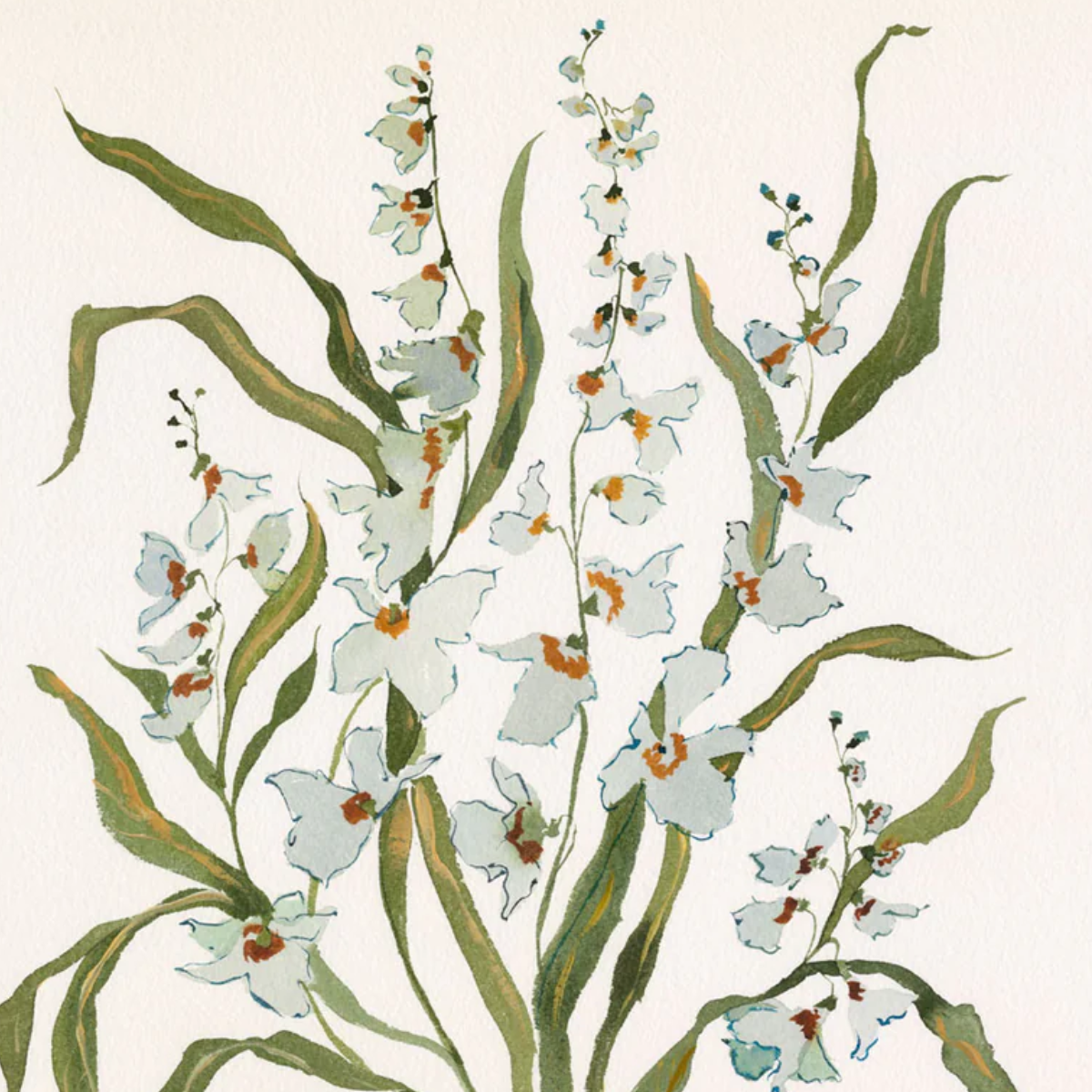 Botanical Print: Dove & Celadon