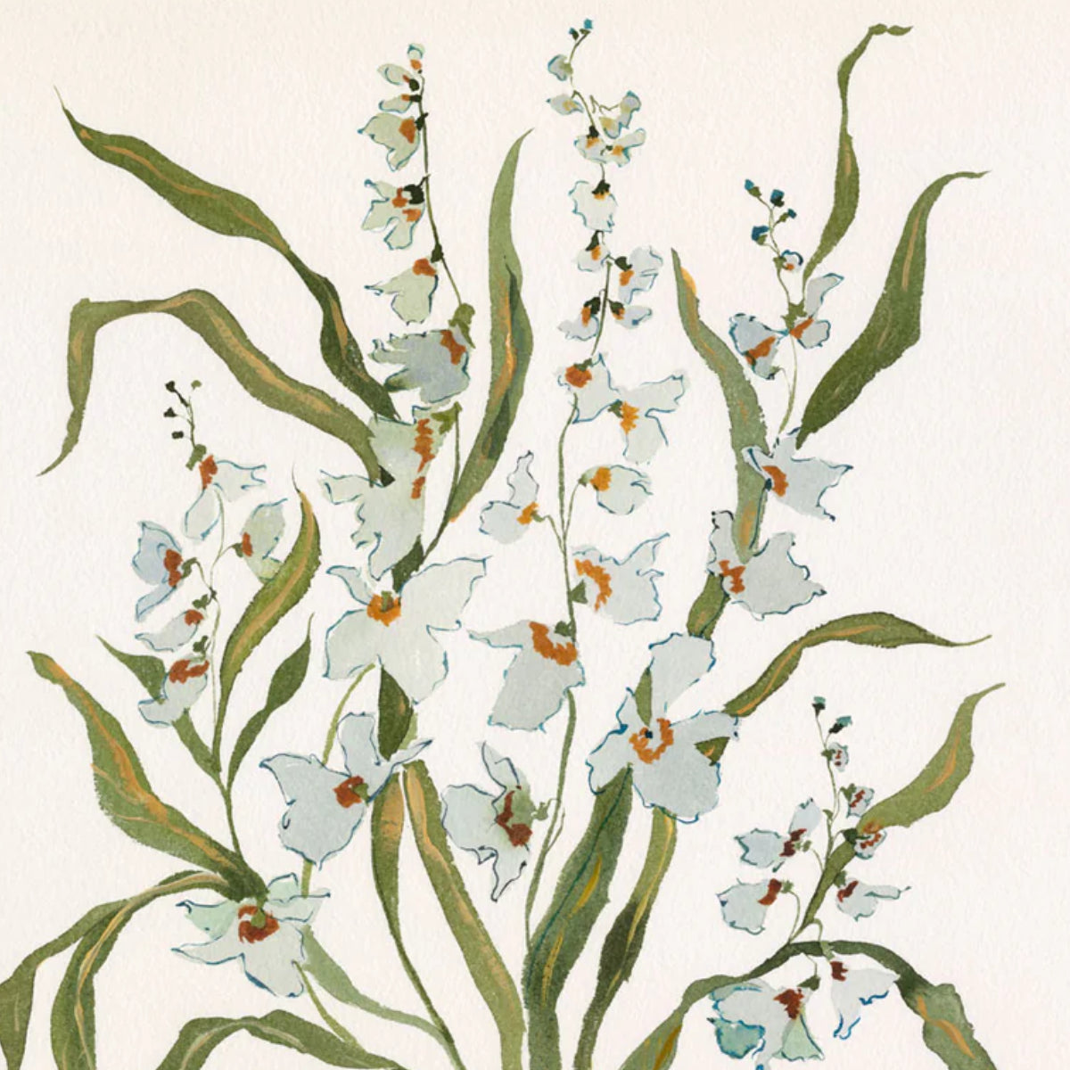 Botanical Print: Dove & Celadon