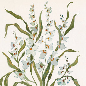 Botanical Print: Dove & Celadon