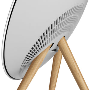 BeoPlay A9 5th Gen Wireless Multiroom Speaker in Natural Aluminum
