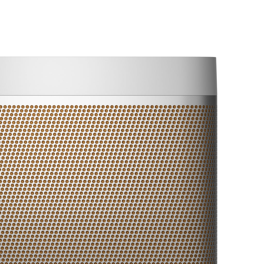 Beolit 20 Portable Bluetooth Speaker in Gray Mist