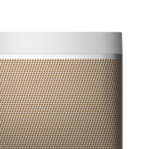 Beolit 20 Portable Bluetooth Speaker in Gray Mist