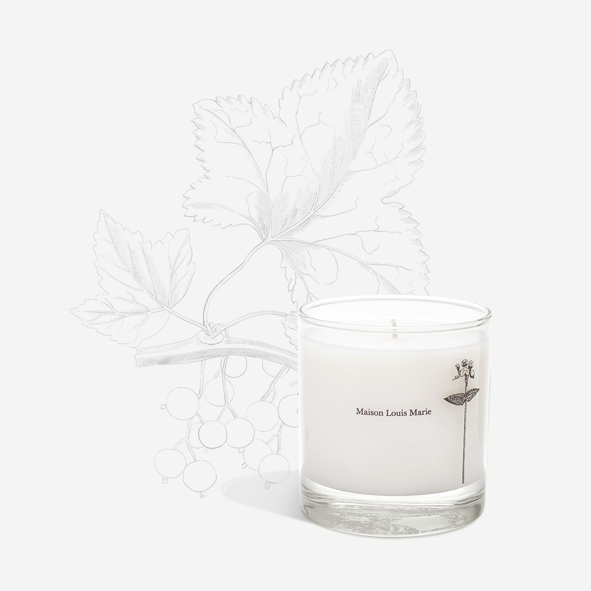 Candle - Antidris Cassis