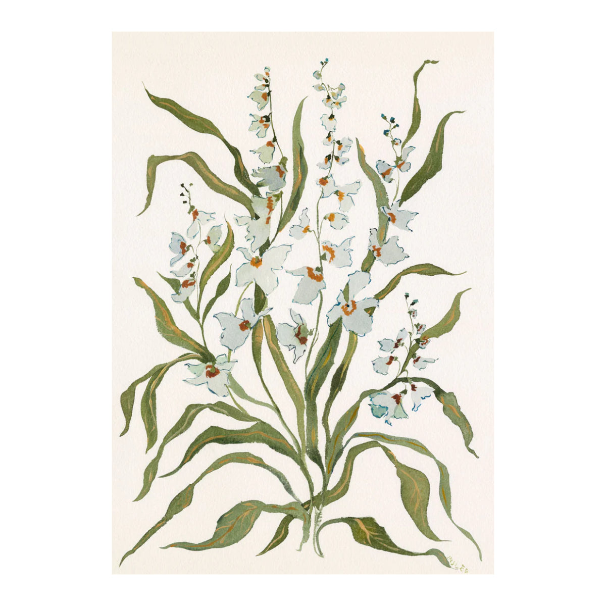 Botanical Print: Dove & Celadon