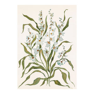 Botanical Print: Dove & Celadon