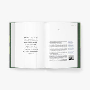 The Great Gatsby Art Novel