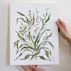 Botanical Print: Dove & Celadon