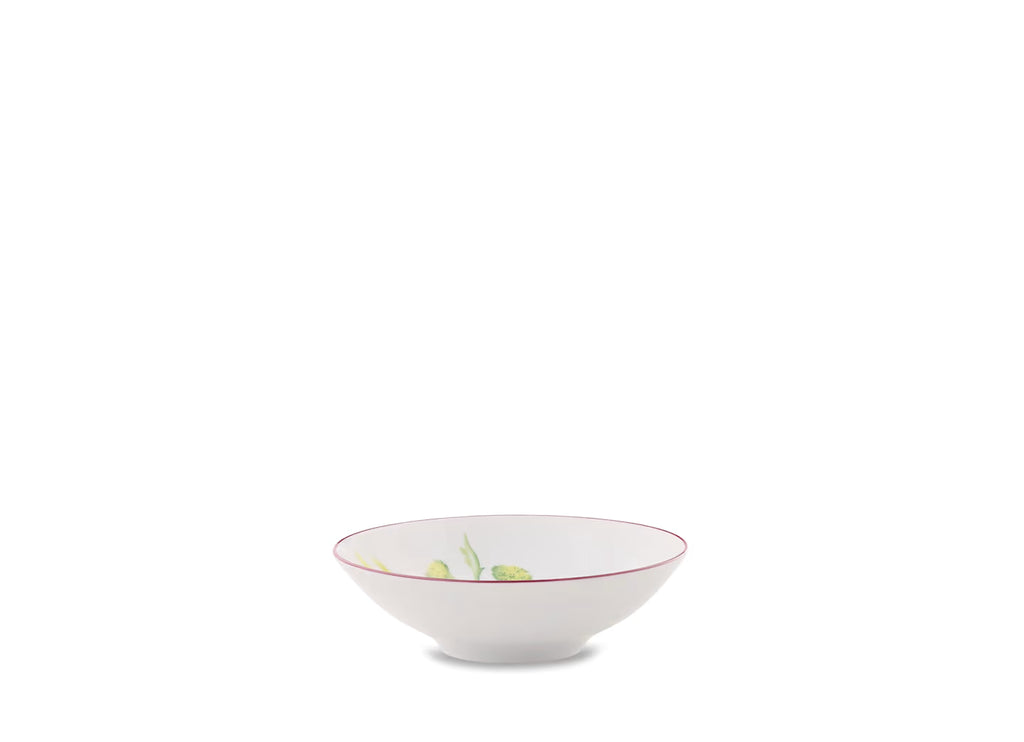Florenza Acanto Fondo Bianco Venezia Fruit Bowl