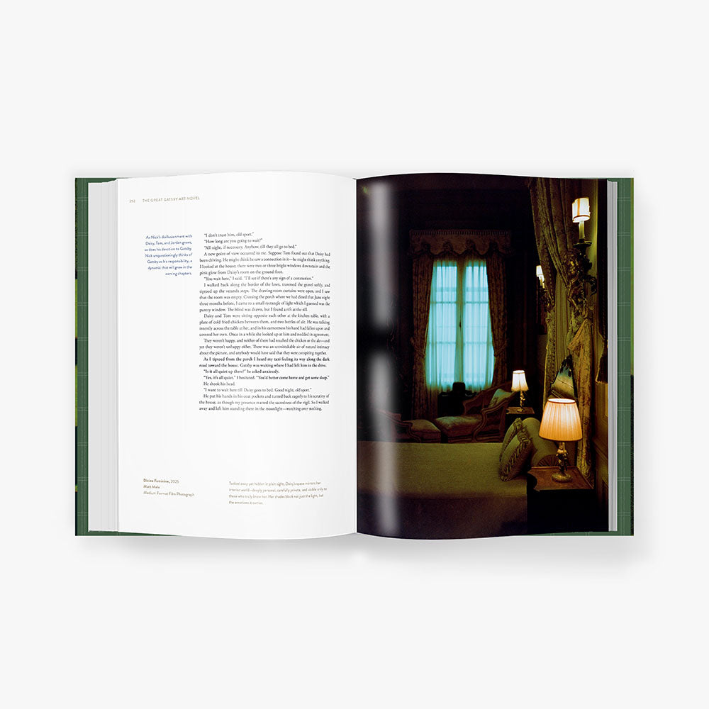 The Great Gatsby Art Novel